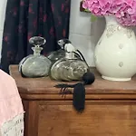 Il Borgo Delle Sibille Diffuso * סארנאנו